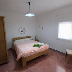 Tarracoliva España